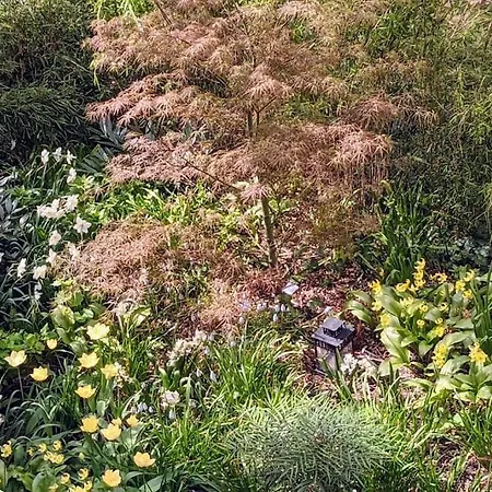 Oasis Romantique Avec Jardin